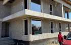 Vand Casa Palazu Mare - 9
