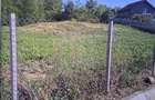 TEREN INTRAVILAN//COM. PLOPU//1300//2700 MP - 3