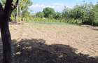 Teren intravilan constructie casa - 2
