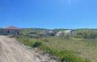 De vanzare teren 700m2-Chinteni ,langa lac ,zona premium - 5