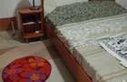 Casă individuală cu 7 camere cu Teren 330 Mp în Ultracentral - 16