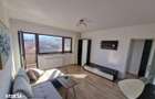 Apartament cu 2 camere, zona De Mijloc, mobilat, utilat, loc parcare! - 3