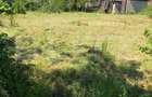 Teren intravilan, 600 mp, zona Runcu - 1