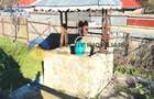 Casă individuală cu 3 camere cu Teren 3632 Mp în Bodeștii de Jos - 10