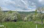 oportunitate rara - De vanzare teren intravilan 5000 mp - 2