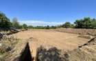 Teren Construcții de 6000 mp, în Dămăroaia - 8