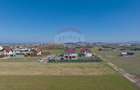 Teren Construcții intravilan de 1036 mp, în Stupini - 5