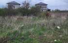 Lot de casa 759 m2, Padure Cernica, vis a vis de manastire, fosta Livada - 5