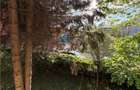 Vanzare apartament 3 camere, zona Garii, etajul 1 - 3