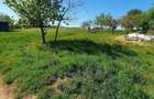 Vand teren Oncea spre Paleu - 4