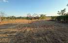 Teren Construcții intravilan de 2192 mp, în Seceani - 4