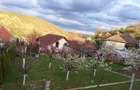 Casa de vanzare Strugurilor - 7