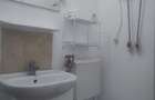 Proprietate specială, de 29 mp, în Ferdinand - 4