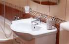 Apartament cu 3 camere de inchiriat in zona Colentina- Doamna Ghica - 27