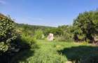 Casă în Bălești - 10