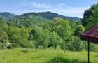 Teren 4000 mp cu utilitati ideal cabane / investitie Muntii Buzaului (Lopatari) - 4