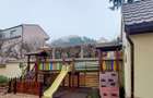 Restaurantul Intim Rasnov o locatie superba - vanzare - 24