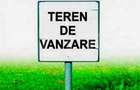 Teren extravilan ,20.000 mp Remetea Mare-Ianova - 1