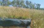 Casă individuală cu 4 camere cu Canalizare în Sumurducu - 9