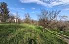 Campina, Baicoi, Scorteni - 14