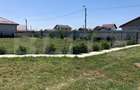 Casă individuală cu 1 camere cu Teren 1000 Mp în Nord - 5