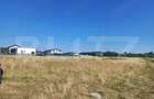 Teren intravilan de 700 mp, în Mihai Viteazu - 1