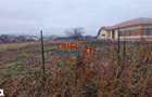 Teren intravilan construibil 2897 mp cu 2 deschideri zona Kaufland - 1