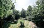 Vand Casa Pischia,Timis - 7