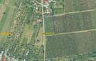 Teren intravilan in Dumbraveni | Aproape de Focsani | Suprafata 4780mp - 4