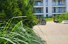 Apartament cu 2 camere semidecomandat în Băneasa - 1