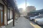 Spatiu comercial prin destinatie Nicolina, 80 mp - 10