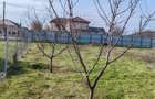 Teren de 1100 mp, în Chiscani - 3