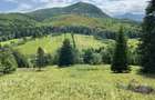 Teren de 6000 mp, în Dălghiu - 3