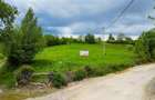 Teren agricol de 11000 mp, în Bran - 2