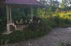 Central-Gh. Doja, casa 3 cam., buc., gr.san., ST-1056mp, 300000e - 8