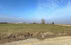 Teren Construcții de 5985 mp, în Nojorid - 9