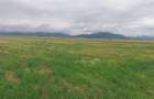 Teren Construcții intravilan de 33100 mp, în Tărlungeni - 3