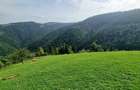 Teren intravilan de 2300 mp, în Măguri-Răcătău - 2
