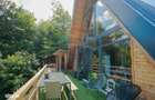Cabana A-frame, Damis, Bratca, Afacere la cheie De Vanzare - 1