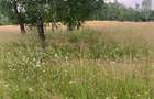 Vanzare teren intravilan 9200 mp - 7