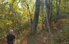 Teren de 10000 mp, în Comorâște - 2