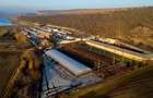 Spațiu industrial, de 50,000 mp, în Horgești - 19