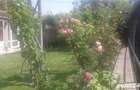 Casă cu 6 camere cu Teren 531 Mp în Aradului - 4