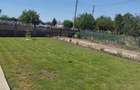 Casă cu 3 camere cu Teren 2000 Mp în Valea Bujorului - 2