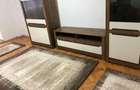 Apartament cu 2 camere, Targu Mures, Central - zona Domus, Nou mobilat si Renovat - 4