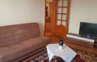 Apartament 2 camere Podgoria langa Malul Muresului - 8