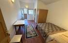 Vanzare cabana P+1+M, Trei Brazi (Predeal), ideala business hotelier - 2