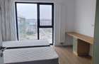 3 camere, 2 bai, etajul 9 din 12, loc parcare, Silk District - 4