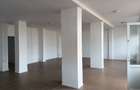Spațiu comercial, de 130 mp, în Vidin-Progresul - 4