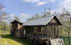 Casă cu 3 camere cu Teren 10300 Mp în București - 4